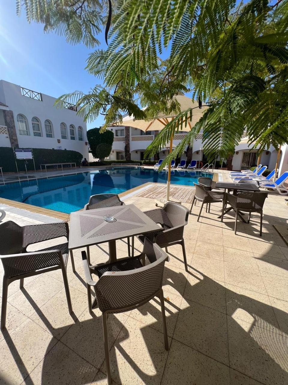 Camel Dive Club & Hotel - Boutique Hotel Sharm el-Sheikh Exteriör bild