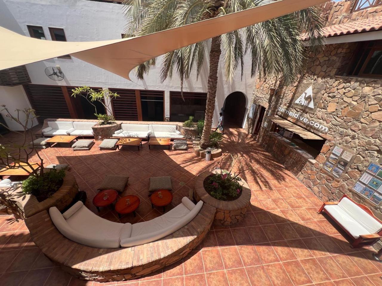 Camel Dive Club & Hotel - Boutique Hotel Sharm el-Sheikh Exteriör bild
